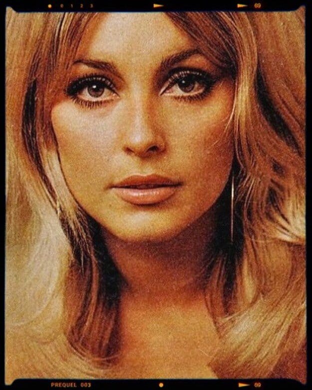 Picture of Sharon Tate