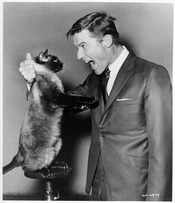 Roddy McDowall Roddy McDowall