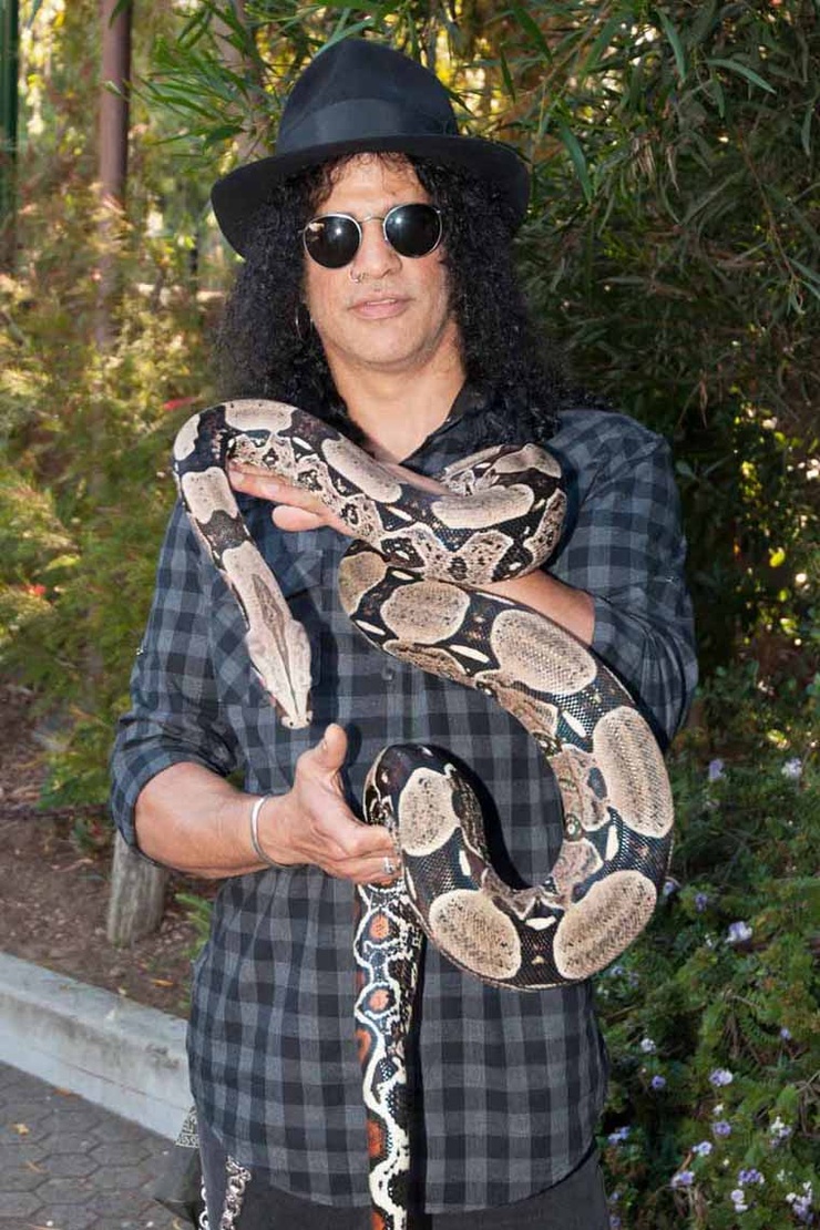 Slash
