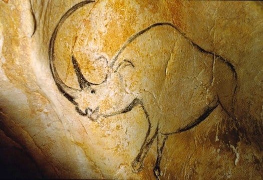 Cave of Forgotten Dreams (2010)