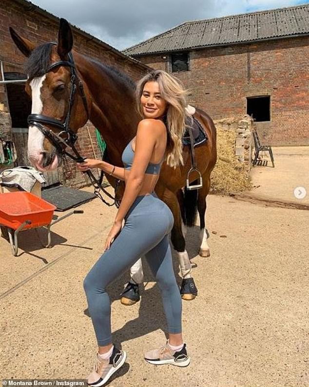 Montana Brown