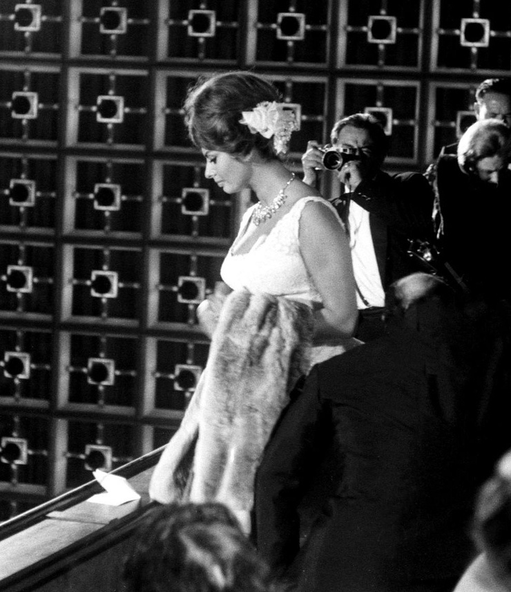 Sophia Loren
