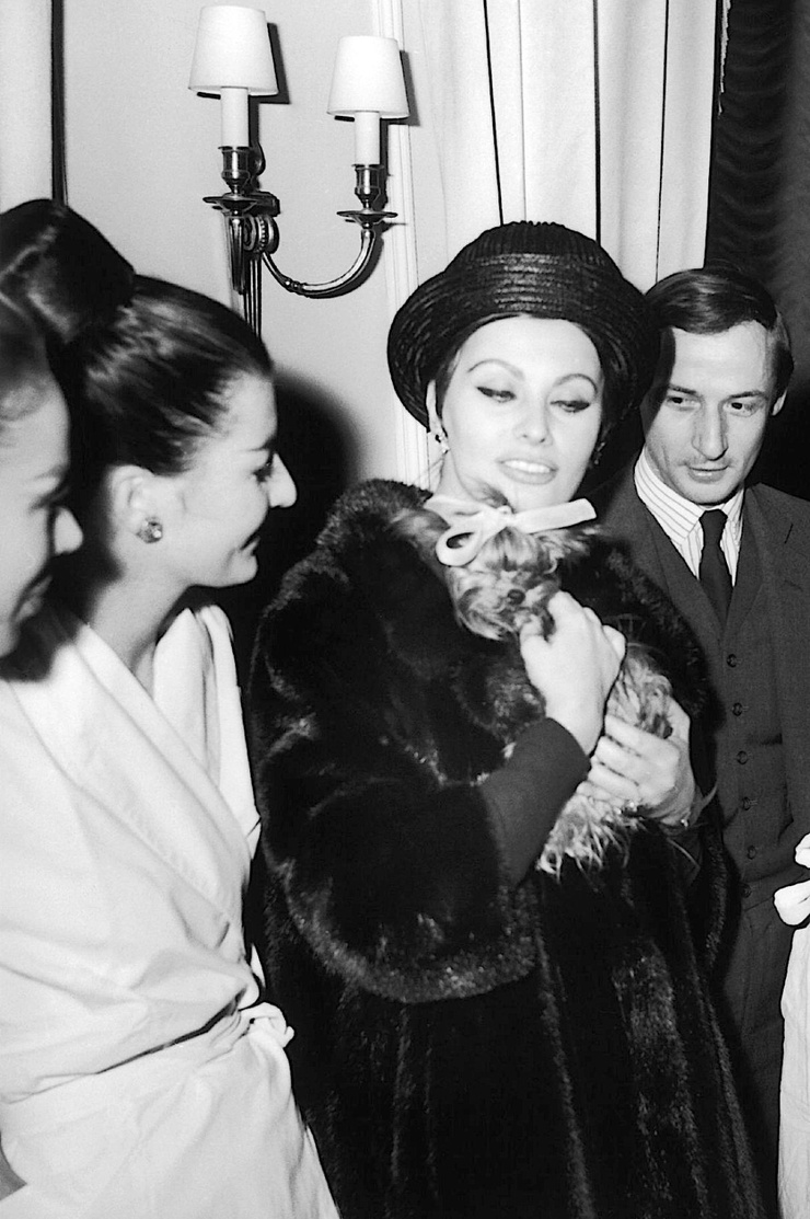 Sophia Loren