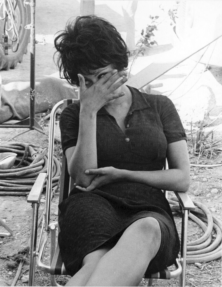 Sophia Loren Sophia Loren