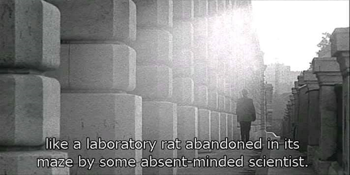 The Man Who Sleeps (1974)