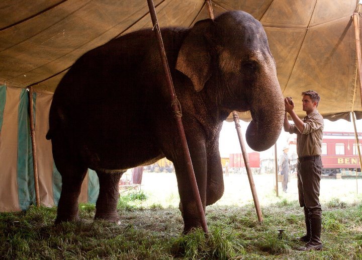 Water for Elephants