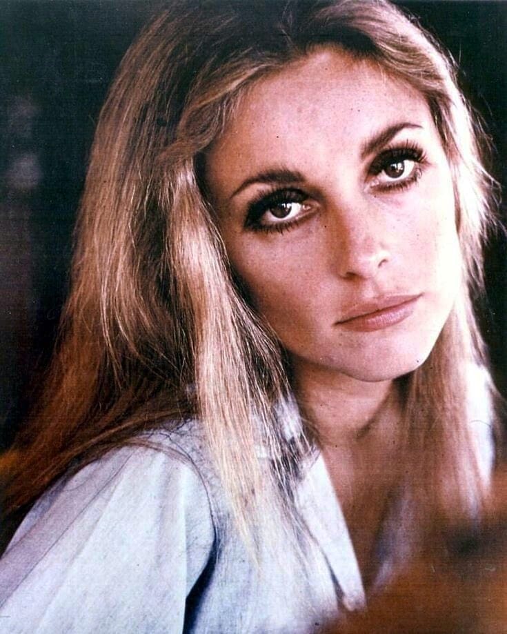 Picture of Sharon Tate