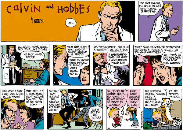 calvin and hobbes the indispensable