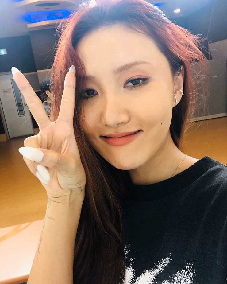 Hwasa Hwasa