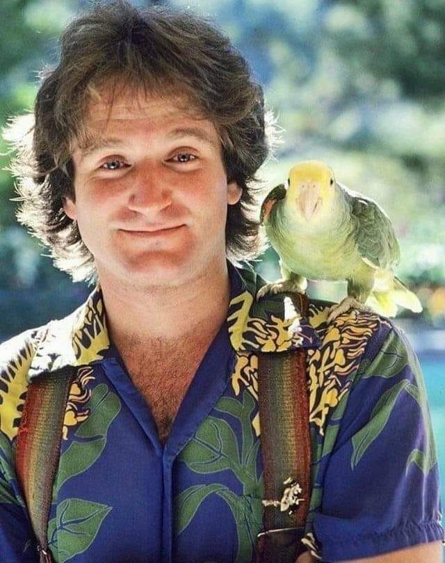 Robin Williams