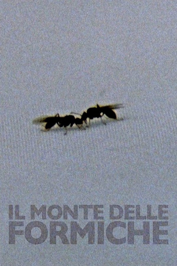 Il monte delle formiche