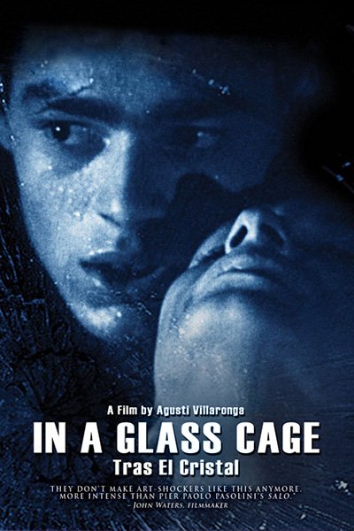 In a Glass Cage