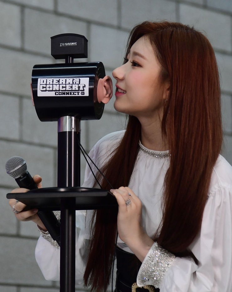 Lee Chaeryeong