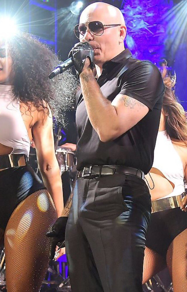 Pitbull