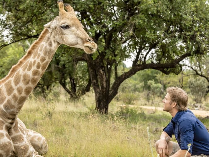 Love on Safari