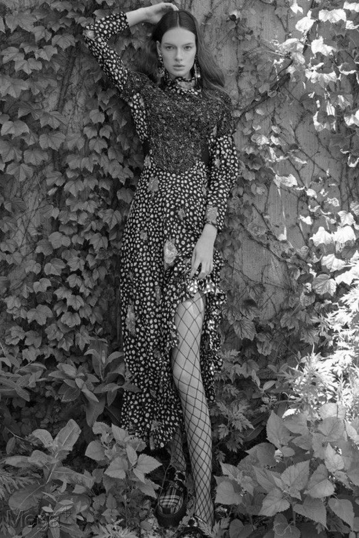 Janelle Franklin image