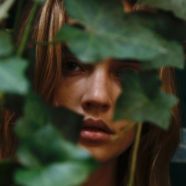 Daria Maistrenko