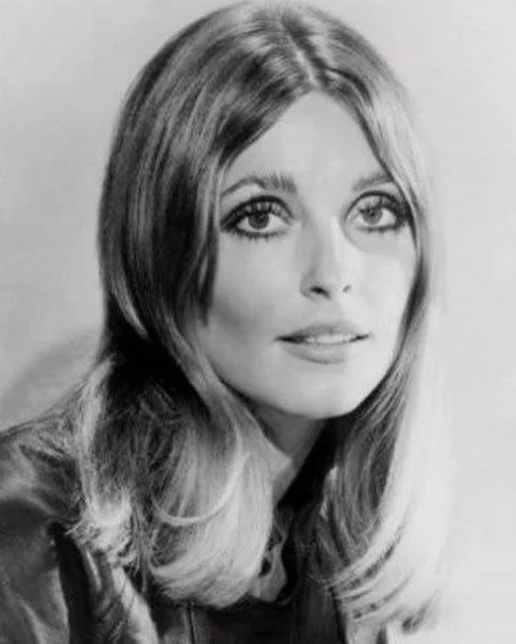 Picture of Sharon Tate