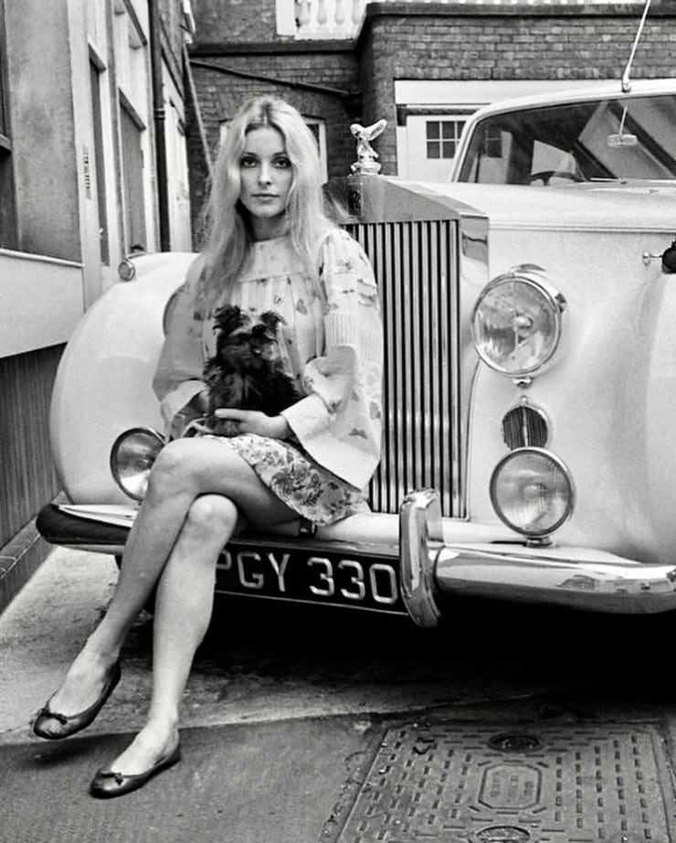 Sharon Tate Sharon Tate