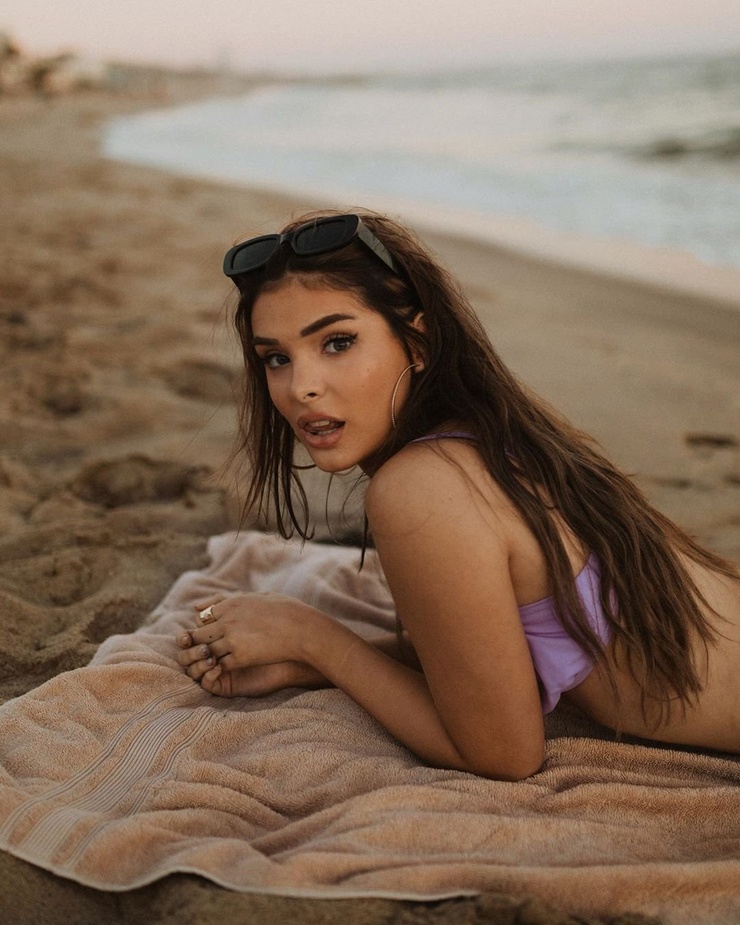 Brighton Sharbino