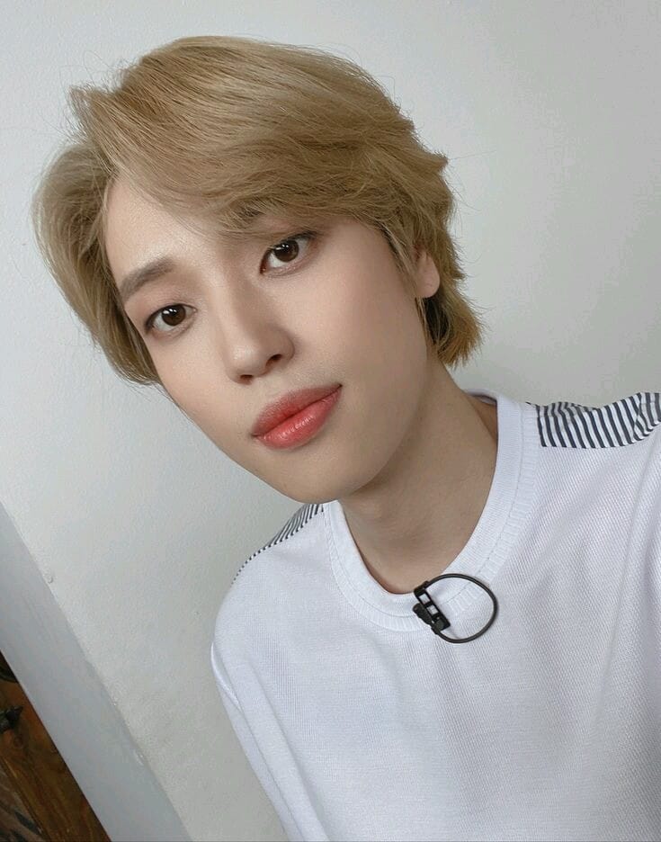 Niel