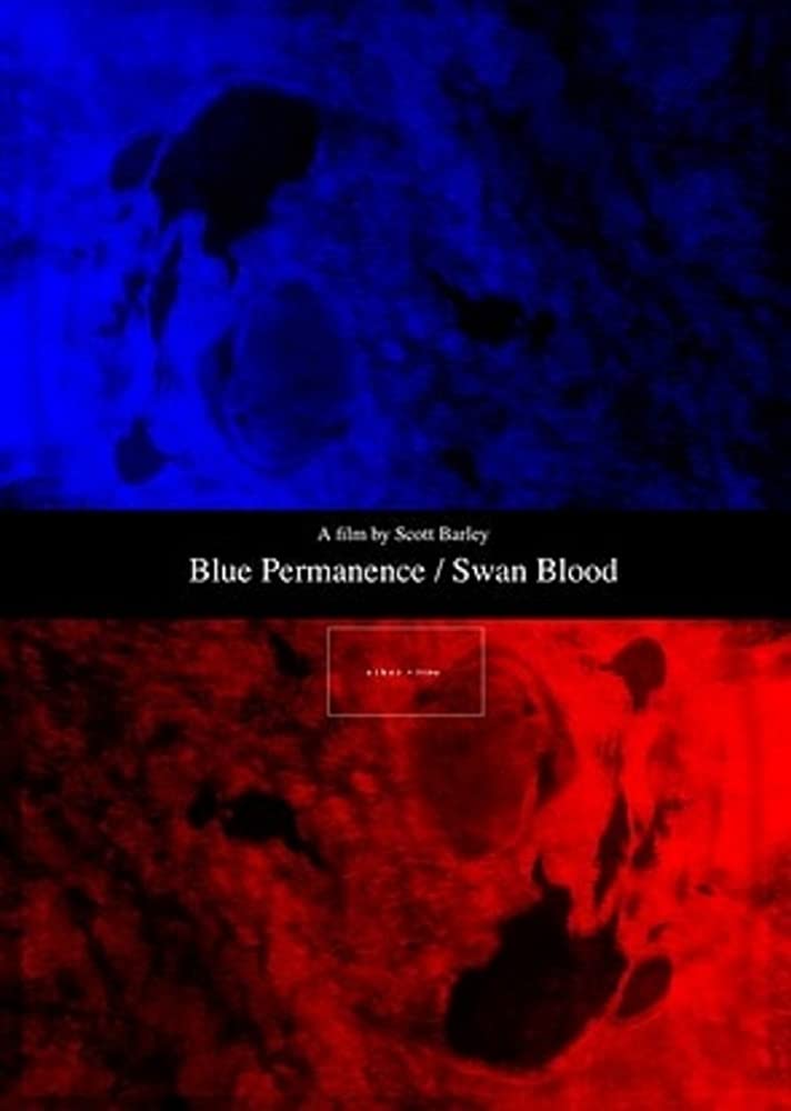 Blue Permanence/Swan Blood