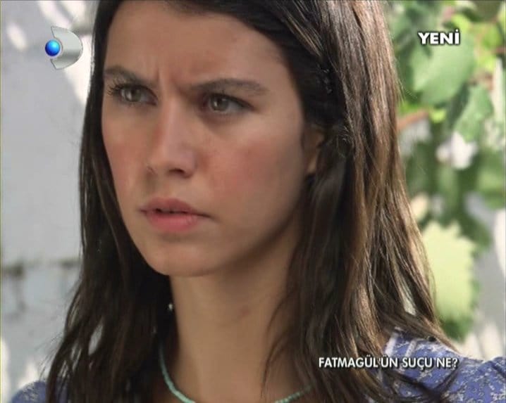 Picture Of Beren Saat