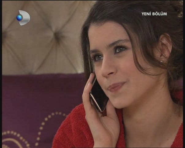 Picture Of Beren Saat