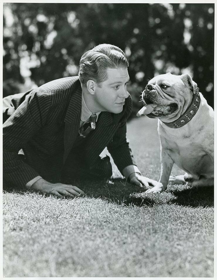 Nelson Eddy