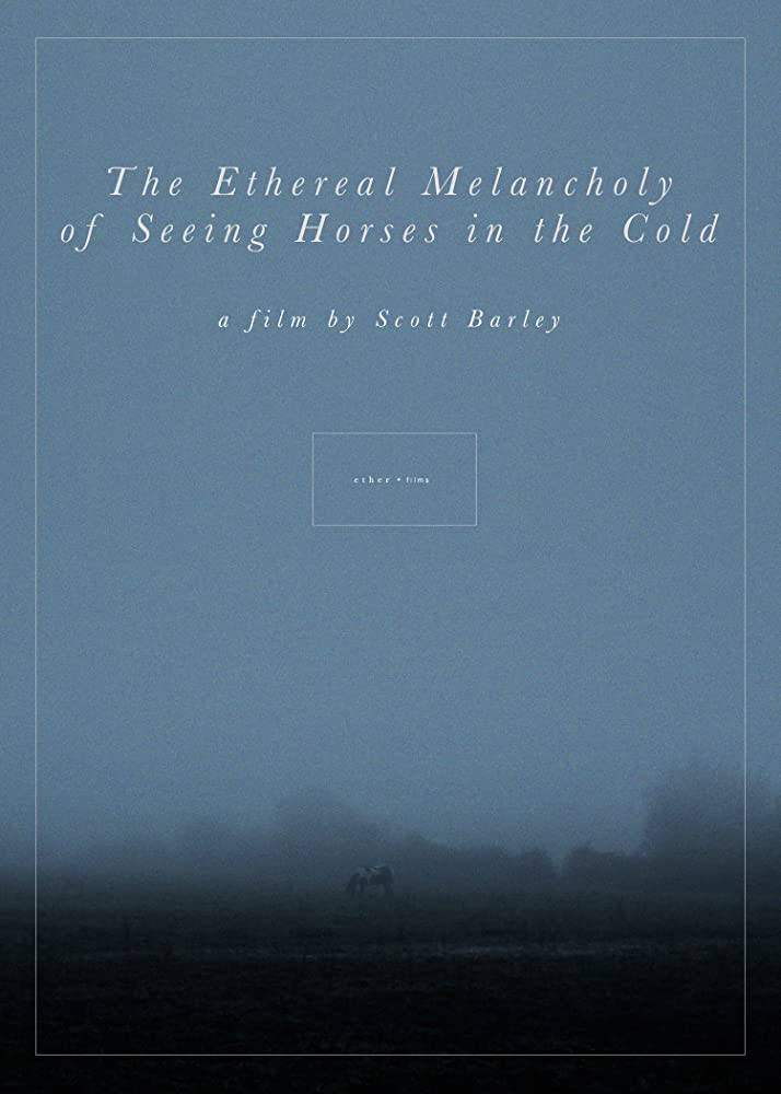 The Ethereal Melancholy of Seeing Horses in the Cold