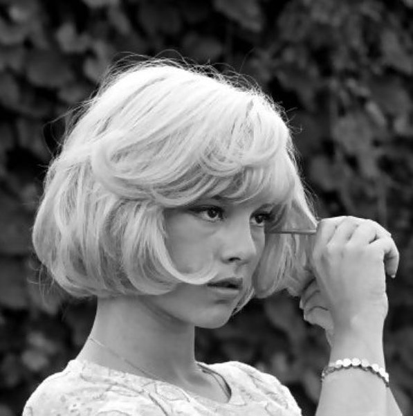 Sylvie Vartan