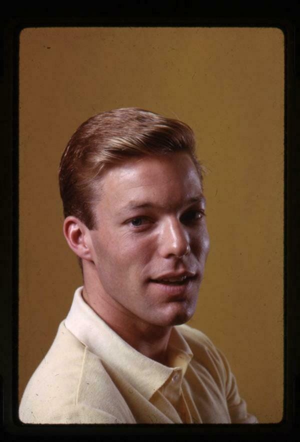 richard chamberlain