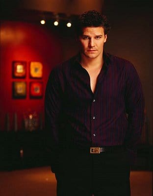 David Boreanaz