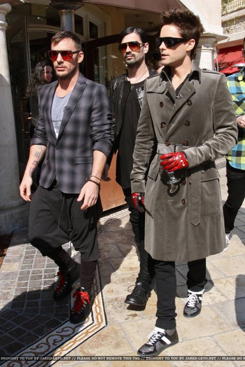 Tomo Miličević image