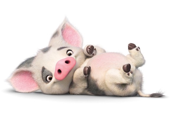 Pua
