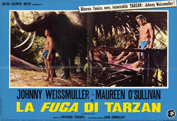 Tarzan Escapes                                  (1936)