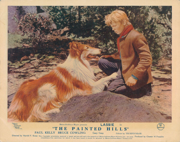 The Painted Hills The Painted Hills