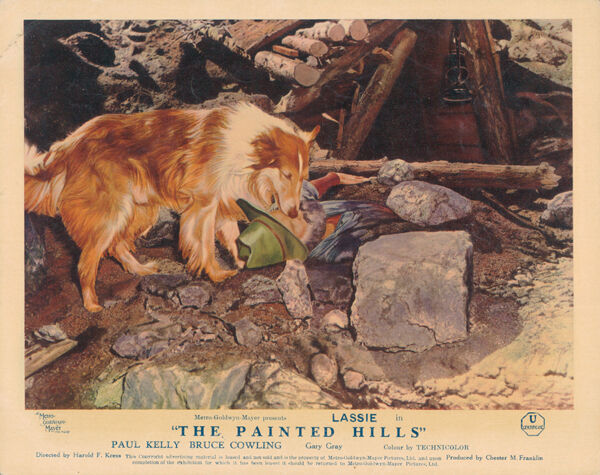 The Painted Hills