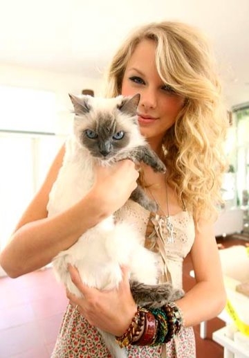 Taylor Swift Taylor Swift