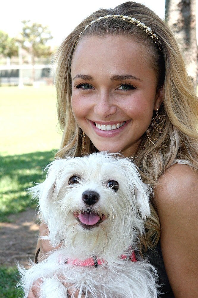 Hayden Panettiere