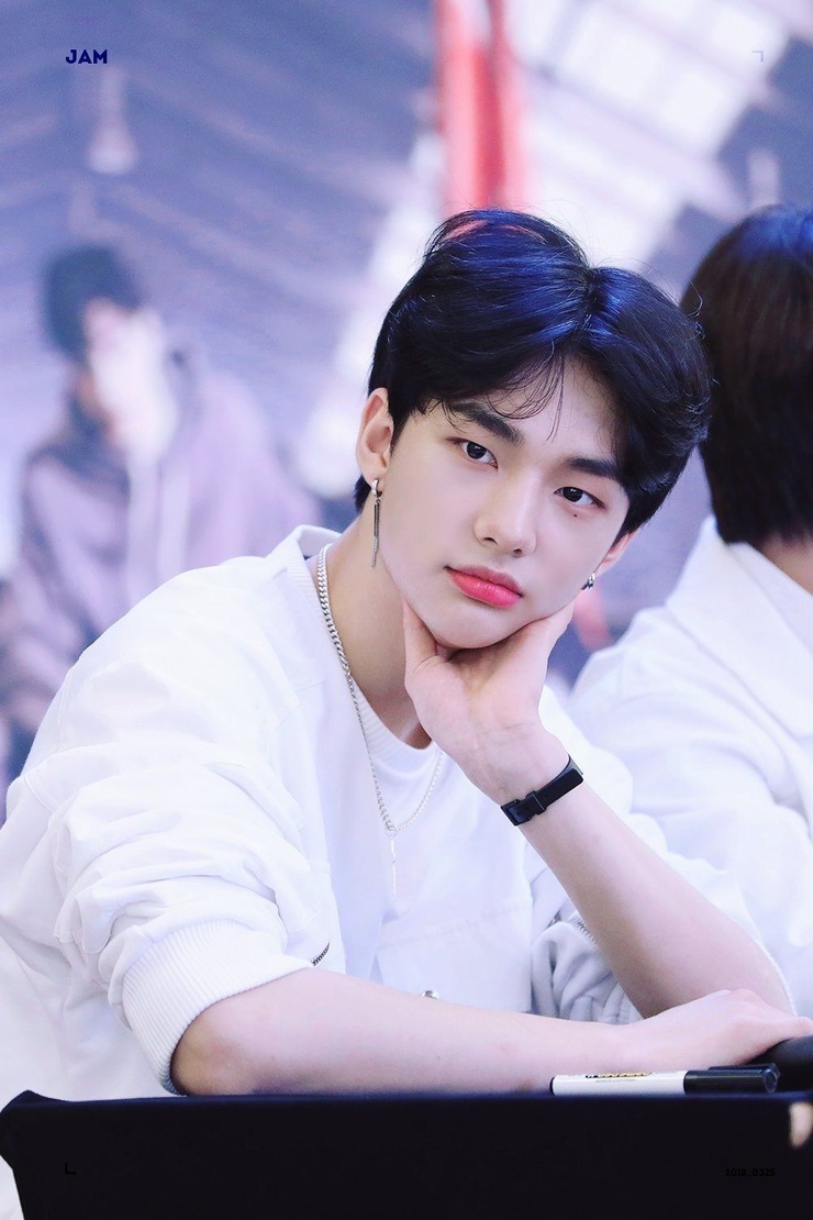 Hyun-Jin Hwang