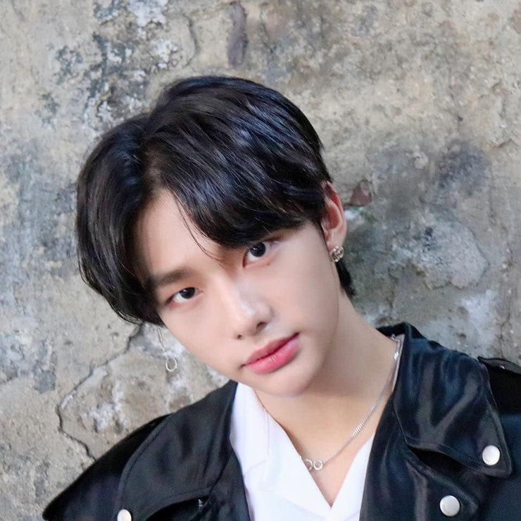 Hyun-Jin Hwang