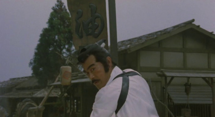 Shogun's Shadow
