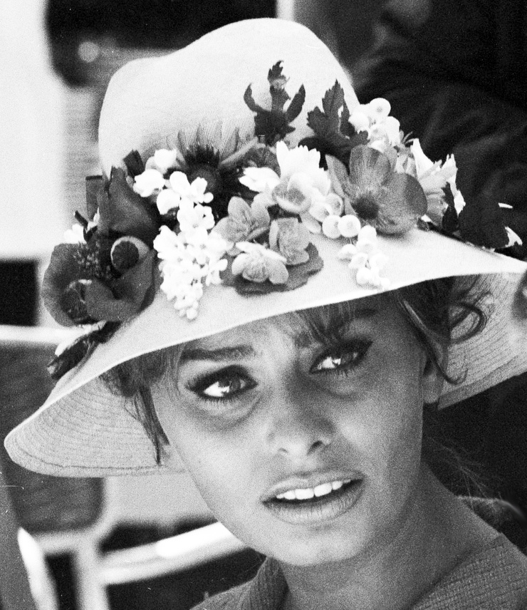 Sophia Loren