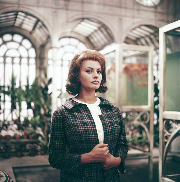Sophia Loren