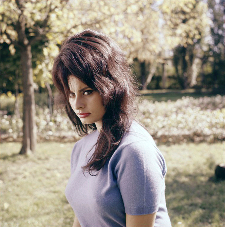 Sophia Loren