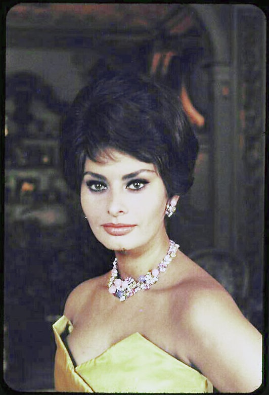 Sophia Loren