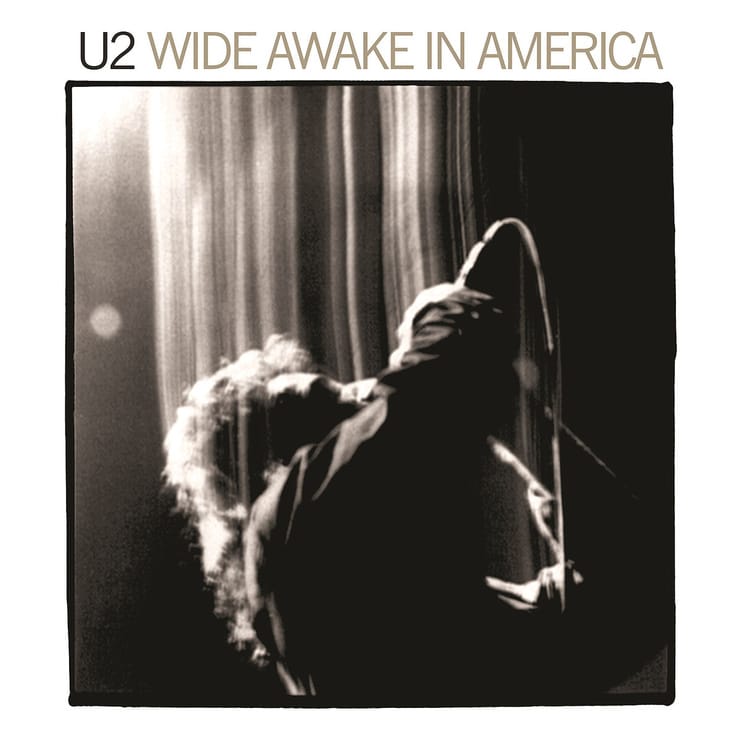 Wide Awake in America