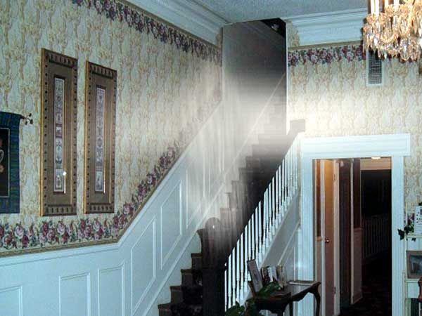 The Excelsior House Hotel