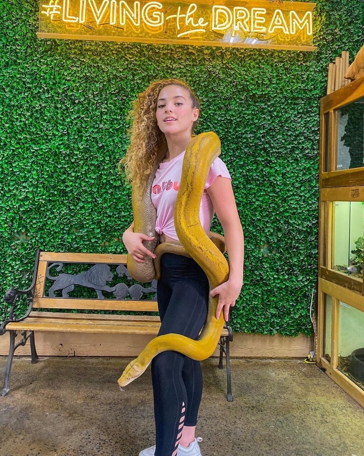 Sofie Dossi Sofie Dossi